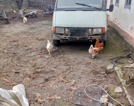 Белый ГАЗ 2818 Газель, объемом двигателя 2.4 л и пробегом 111 тыс. км за 829 $, фото 5 на Automoto.ua