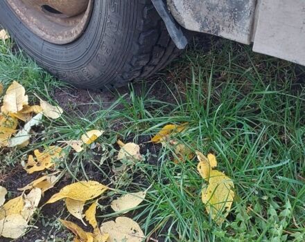 Серый ГАЗ 2818 Газель, объемом двигателя 0 л и пробегом 777 тыс. км за 954 $, фото 2 на Automoto.ua