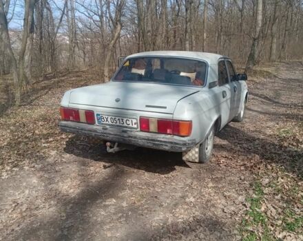 Серый ГАЗ 31029 Волга, объемом двигателя 2.4 л и пробегом 34 тыс. км за 700 $, фото 1 на Automoto.ua