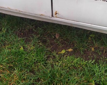 Белый ГАЗ 3110 Волга, объемом двигателя 2.4 л и пробегом 1000 тыс. км за 500 $, фото 1 на Automoto.ua