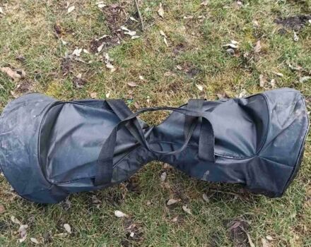 ГАЗ 3110 Волга, об'ємом двигуна 2.45 л та пробігом 0 тис. км за 74 $, фото 4 на Automoto.ua