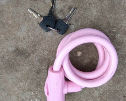 ГАЗ 3110 Волга, объемом двигателя 2.45 л и пробегом 0 тыс. км за 228 $, фото 6 на Automoto.ua