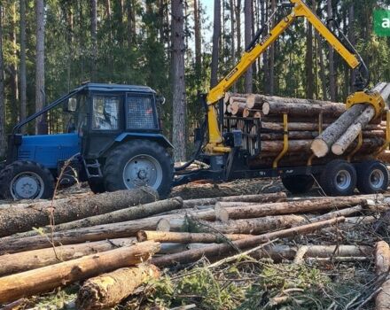 ГАЗ 3110 Волга, об'ємом двигуна 2.45 л та пробігом 0 тис. км за 8976 $, фото 4 на Automoto.ua