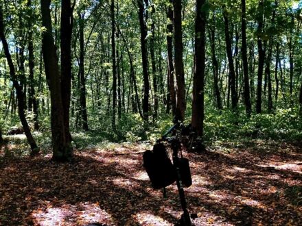 ГАЗ 3110 Волга, об'ємом двигуна 2.45 л та пробігом 0 тис. км за 167 $, фото 1 на Automoto.ua