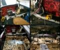 Серый ГАЗ 3110 Волга, объемом двигателя 2.3 л и пробегом 40 тыс. км за 1150 $, фото 19 на Automoto.ua