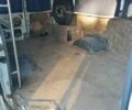 Белый ГАЗ 3221 Газель, объемом двигателя 2.89 л и пробегом 300 тыс. км за 1900 $, фото 2 на Automoto.ua