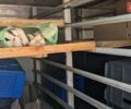 Белый ГАЗ 3302 ГАЗель, объемом двигателя 2.89 л и пробегом 198 тыс. км за 4200 $, фото 3 на Automoto.ua