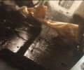 Белый ГАЗ 3302 ГАЗель, объемом двигателя 2.13 л и пробегом 187 тыс. км за 2200 $, фото 12 на Automoto.ua