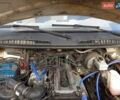 ГАЗ 3302 ГАЗель 2008 в Киеве на Automoto.ua Белый ГАЗ 3302 ГАЗель, объемом двигателя 2.46 л и пробегом 3 тыс. км за 4100 $, фото 5 на Automoto.ua