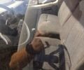 Бежевый ГАЗ 3302 ГАЗель, объемом двигателя 2.4 л и пробегом 70 тыс. км за 2299 $, фото 6 на Automoto.ua