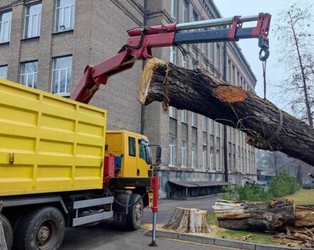 Желтый ГАЗ 3302, объемом двигателя 7.3 л и пробегом 0 тыс. км за 63236 $, фото 7 на Automoto.ua