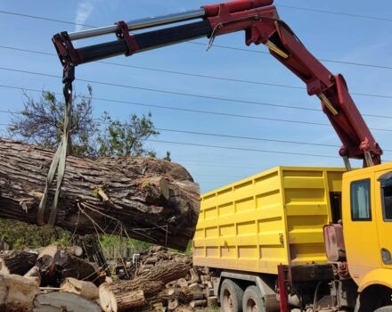 Желтый ГАЗ 3302, объемом двигателя 7.3 л и пробегом 0 тыс. км за 63236 $, фото 11 на Automoto.ua