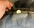 ГАЗ 3309, объемом двигателя 0 л и пробегом 0 тыс. км за 12500 $, фото 21 на Automoto.ua