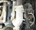 ГАЗ 53 1984 в Маньковка на Automoto.ua ГАЗ 53, объемом двигателя 0 л и пробегом 2 тыс. км за 3100 $, фото 1 на Automoto.ua