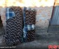 ГАЗ 53, объемом двигателя 4.3 л и пробегом 0 тыс. км за 2000 $, фото 10 на Automoto.ua