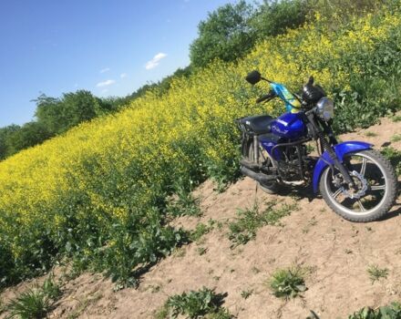 ГАЗ 6601 2017 в Стрые на Automoto.ua ГАЗ 6601, объемом двигателя 0.13 л и пробегом 0 тыс. км за 425 $, фото 1 на Automoto.ua