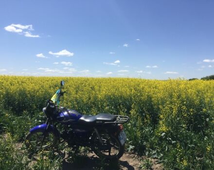 ГАЗ 6601 2017 в Стрые на Automoto.ua ГАЗ 6601, объемом двигателя 0.13 л и пробегом 0 тыс. км за 425 $, фото 2 на Automoto.ua