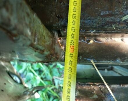 ГАЗ Інша, об'ємом двигуна 0 л та пробігом 0 тис. км за 3938 $, фото 2 на Automoto.ua