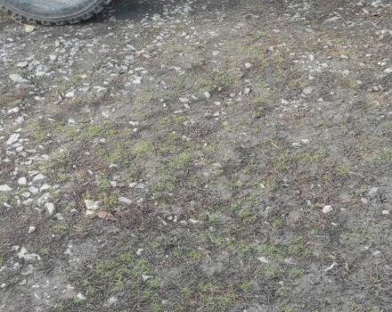 ГАЗ Другая, объемом двигателя 0 л и пробегом 0 тыс. км за 1306 $, фото 2 на Automoto.ua