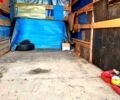 Белый ГАЗ Газель, объемом двигателя 2.3 л и пробегом 100 тыс. км за 3000 $, фото 6 на Automoto.ua