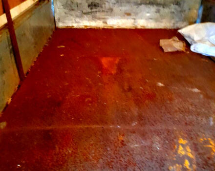 Белый ГАЗ Газель, объемом двигателя 2.9 л и пробегом 0 тыс. км за 1500 $, фото 2 на Automoto.ua