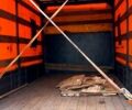 Белый ГАЗ Газель, объемом двигателя 2.5 л и пробегом 370 тыс. км за 7700 $, фото 5 на Automoto.ua
