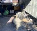 Білий ГАЗ Газель, об'ємом двигуна 2.9 л та пробігом 0 тис. км за 2000 $, фото 6 на Automoto.ua