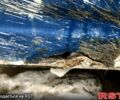 ГАЗ Газель, объемом двигателя 2.5 л и пробегом 80 тыс. км за 3000 $, фото 4 на Automoto.ua