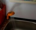 Зеленый ГАЗ РУТА, объемом двигателя 2.5 л и пробегом 365 тыс. км за 7200 $, фото 11 на Automoto.ua
