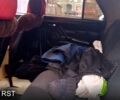 Синій ГАЗ Волга, об'ємом двигуна 25 л та пробігом 84 тис. км за 500 $, фото 5 на Automoto.ua