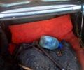 Синий ГАЗ Волга, объемом двигателя 2.4 л и пробегом 120 тыс. км за 700 $, фото 9 на Automoto.ua