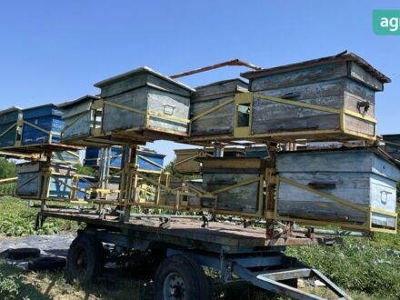 ГКБ 819, объемом двигателя 0 л и пробегом 0 тыс. км за 2000 $, фото 1 на Automoto.ua