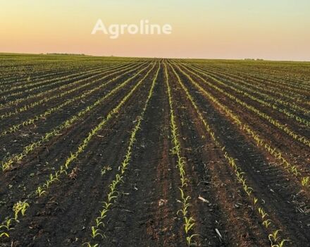 Гаспардо МТР 8, объемом двигателя 0 л и пробегом 0 тыс. км за 19964 $, фото 1 на Automoto.ua