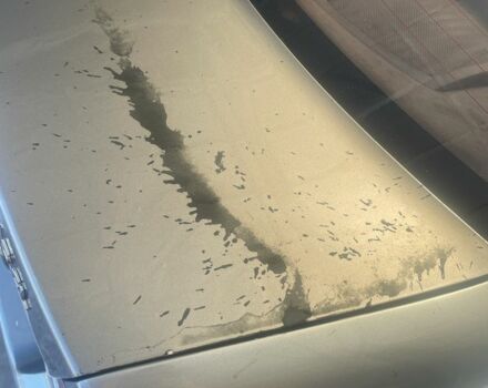 Джили ЦК 2012 в Кривом Роге на Automoto.ua Серый Джили ЦК, объемом двигателя 1.5 л и пробегом 224 тыс. км за 1548 $, фото 7 на Automoto.ua