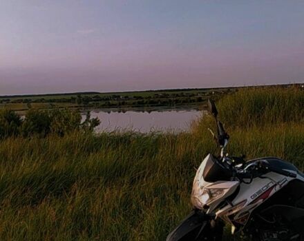 Геон CR6, об'ємом двигуна 0.25 л та пробігом 0 тис. км за 800 $, фото 2 на Automoto.ua