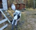 Белый Геон Дакар, объемом двигателя 0.29 л и пробегом 2 тыс. км за 2600 $, фото 8 на Automoto.ua