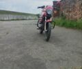 Геон Пантера, объемом двигателя 0 л и пробегом 35 тыс. км за 450 $, фото 3 на Automoto.ua