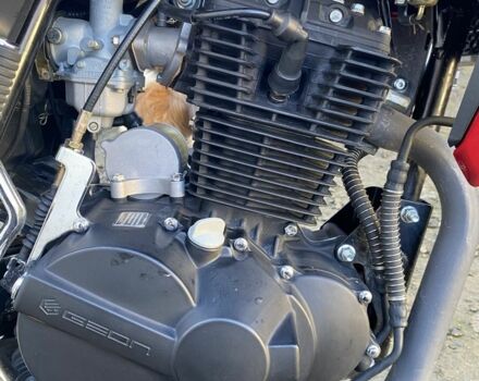 Геон Пантера, объемом двигателя 0.25 л и пробегом 0 тыс. км за 1200 $, фото 6 на Automoto.ua