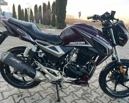 Геон Пантера, объемом двигателя 0.25 л и пробегом 0 тыс. км за 1300 $, фото 4 на Automoto.ua