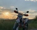 Геон Терра-КС, объемом двигателя 0 л и пробегом 1 тыс. км за 1450 $, фото 6 на Automoto.ua