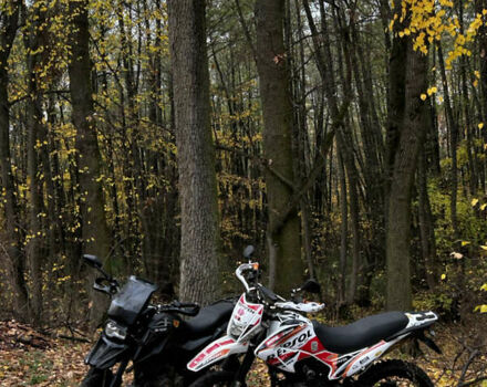 Білий Геон КС-Роад, об'ємом двигуна 0.25 л та пробігом 10 тис. км за 853 $, фото 8 на Automoto.ua