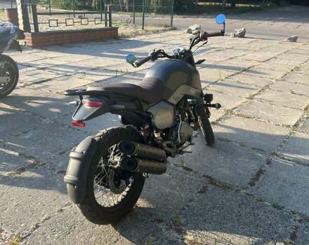 Геон Baddog 250, объемом двигателя 0 л и пробегом 3 тыс. км за 1499 $, фото 2 на Automoto.ua