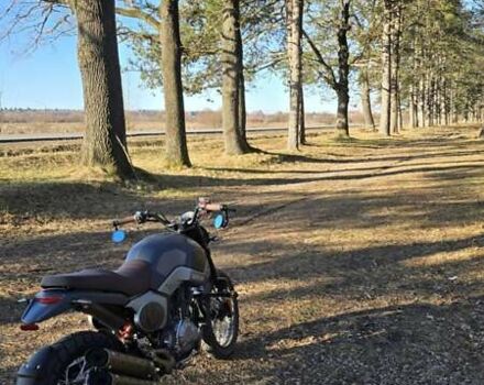 Геон Baddog 250, объемом двигателя 0.25 л и пробегом 1 тыс. км за 1700 $, фото 7 на Automoto.ua