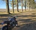 Геон Baddog 250, объемом двигателя 0.25 л и пробегом 1 тыс. км за 1700 $, фото 7 на Automoto.ua