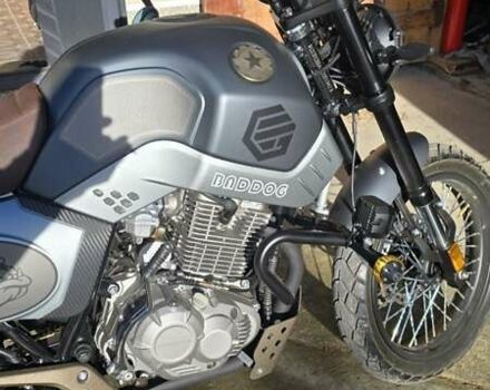 Геон Baddog 250, объемом двигателя 0.25 л и пробегом 1 тыс. км за 1700 $, фото 3 на Automoto.ua