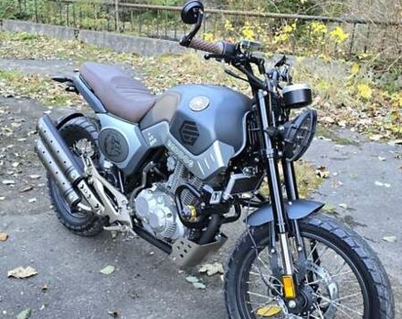 Геон Baddog 250, объемом двигателя 0.25 л и пробегом 1 тыс. км за 1700 $, фото 8 на Automoto.ua
