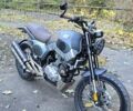 Геон Baddog 250, объемом двигателя 0.25 л и пробегом 1 тыс. км за 1700 $, фото 8 на Automoto.ua