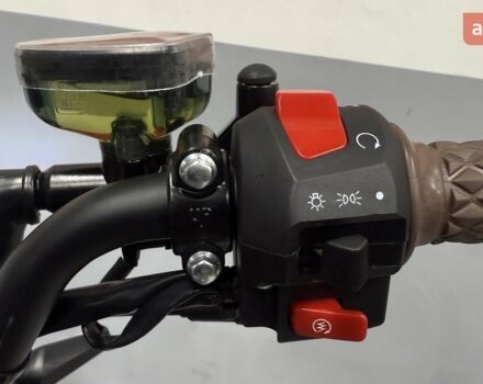 купить новое авто Геон Baddog 250 2025 года от официального дилера Сергей Геон фото