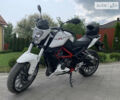 Белый Геон Benelli TNT250, объемом двигателя 0.25 л и пробегом 18 тыс. км за 2100 $, фото 5 на Automoto.ua