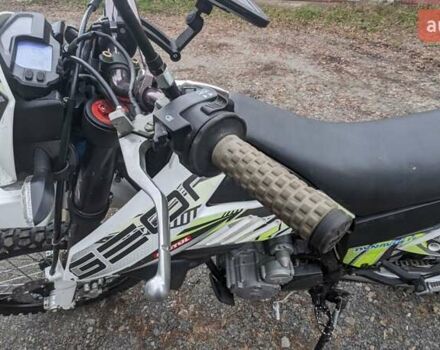 Белый Геон Dakar 250, объемом двигателя 0.25 л и пробегом 10 тыс. км за 1900 $, фото 12 на Automoto.ua